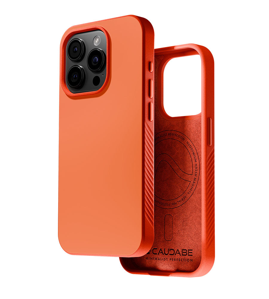 cases