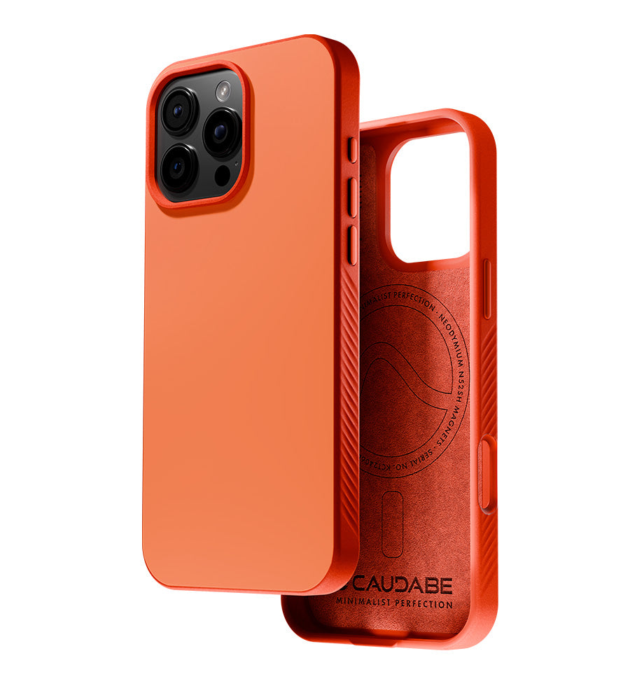 cases