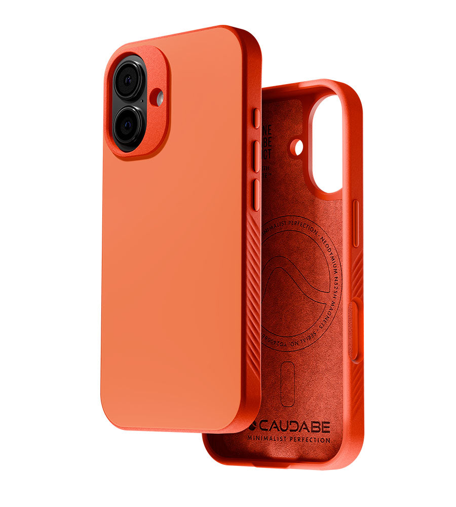 cases