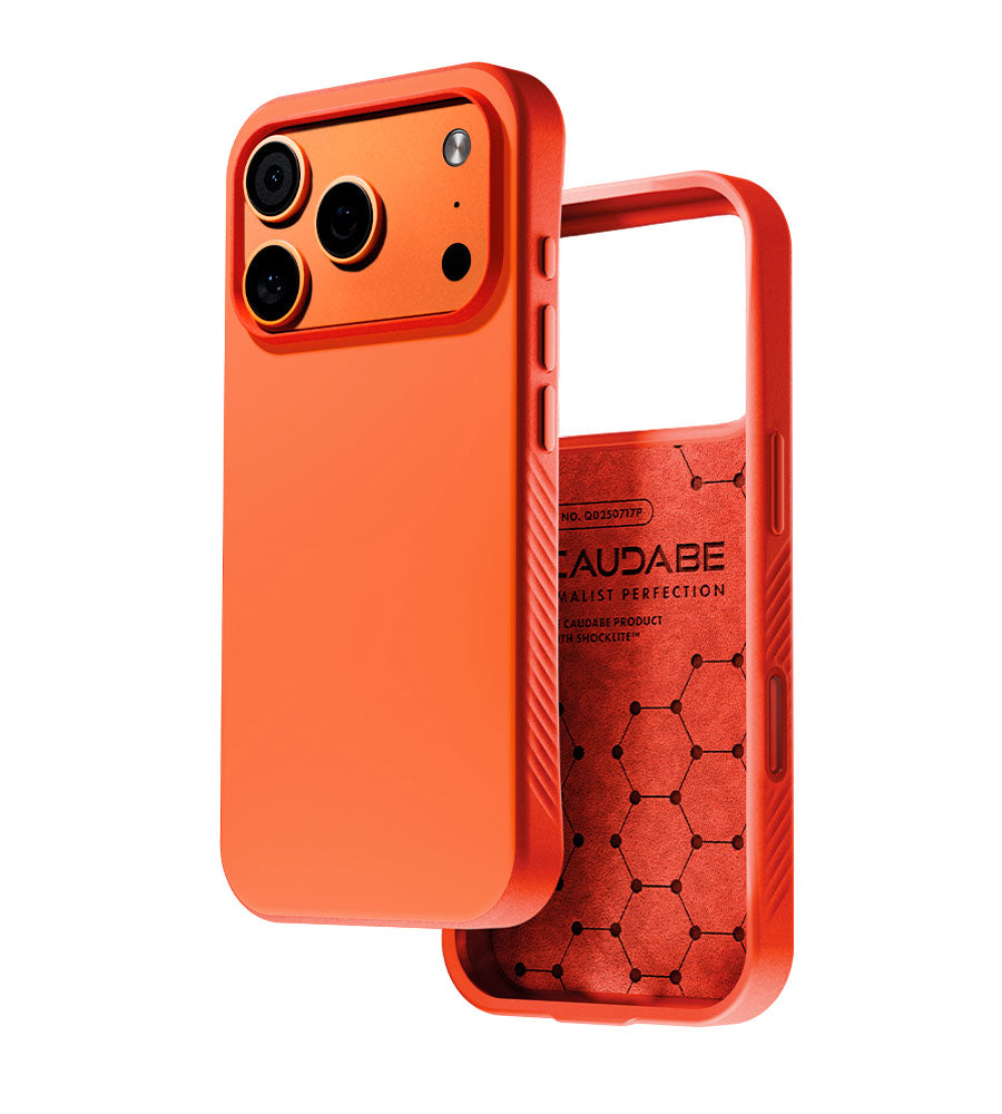 cases