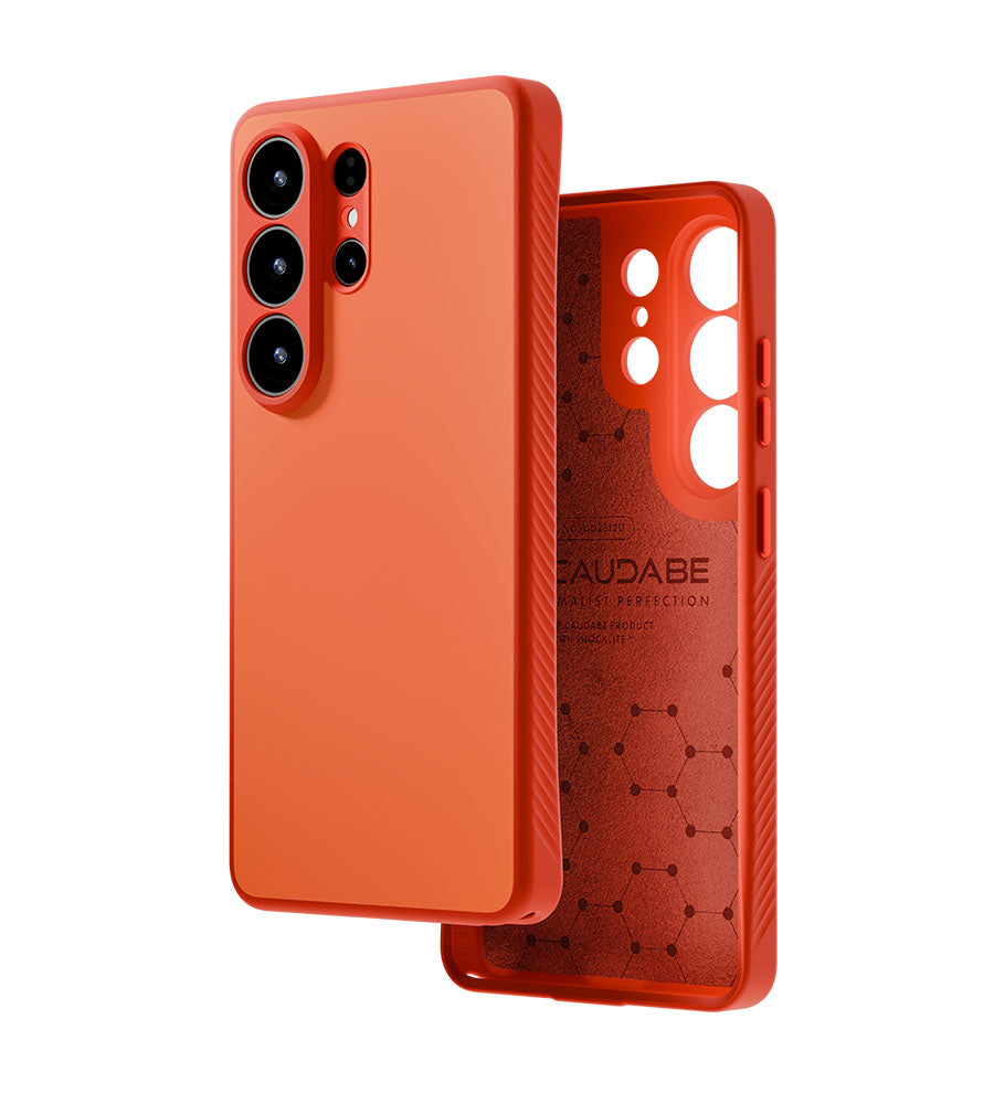cases